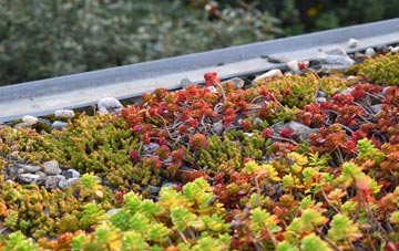 the cost of Hoole Bank green roof installation