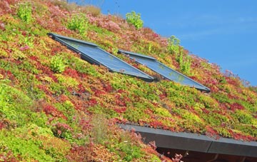 Hoole Bank living roof systems