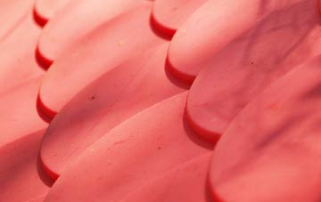 Hoole Bank plastic roof costs