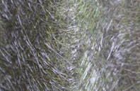 Hoole Bank fibreglass roof work